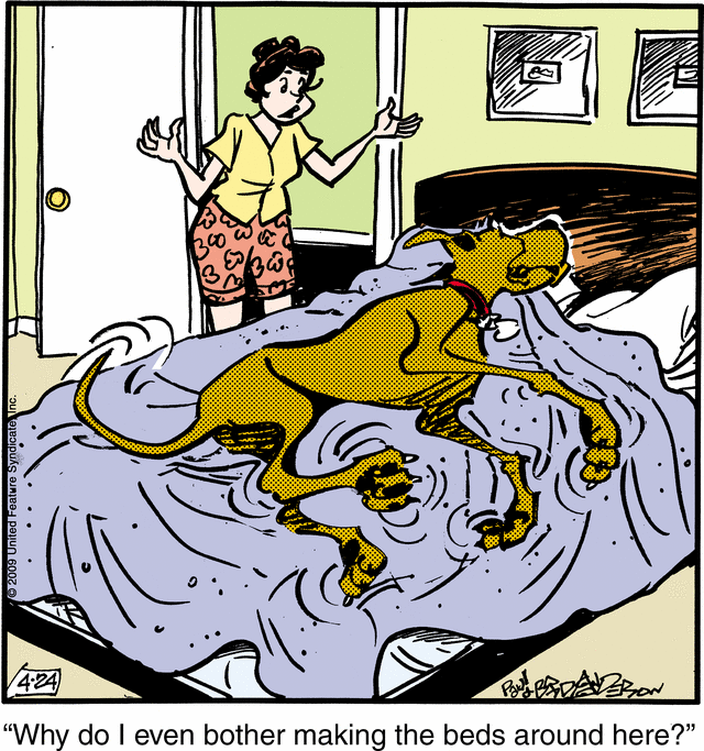 marmaduke